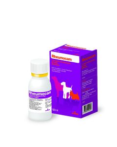 Rheumocam Oral Suspension Dog 100ml 